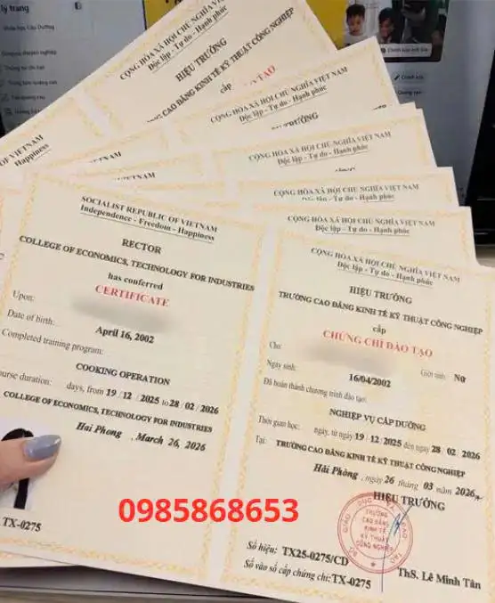 Học Chứng Chỉ Cấp Dưỡng Mầm Non