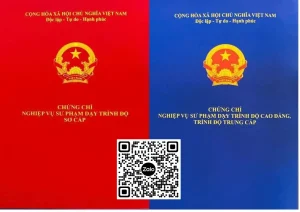 NVSP nghề trình độ Sơ cấp, Trung cấp – Cao đẳng